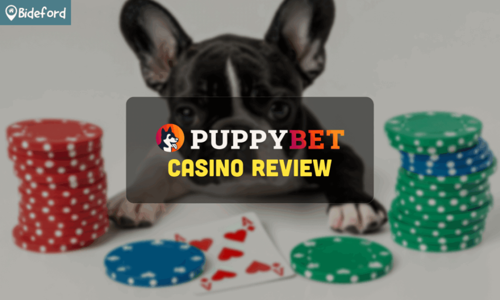 Introduction PuppyBet Casino