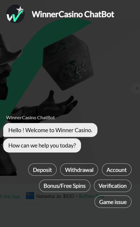 Winner Casino Chat